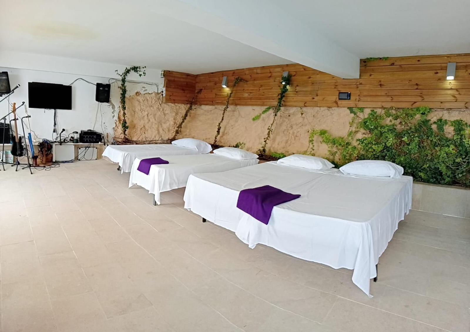 Exclusive Seafront Villa,Private Pool,Gym,Bbq El Toro  Esterno foto
